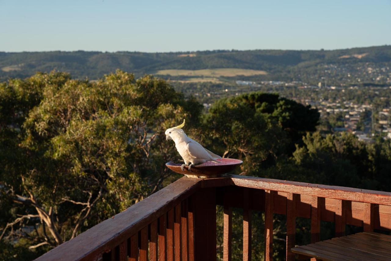 Vila Kinoie Mornington - Oceanview Mount Martha Exteriér fotografie